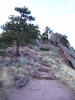Pic